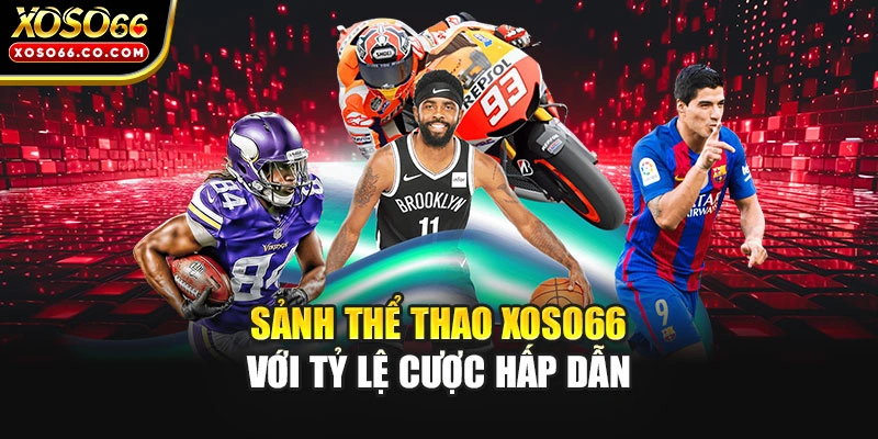 Sảnh thể thao XOSO66 với tỷ lệ cược hấp dẫn